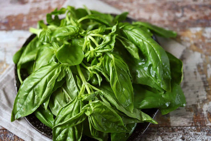 Dried Genovese Basil