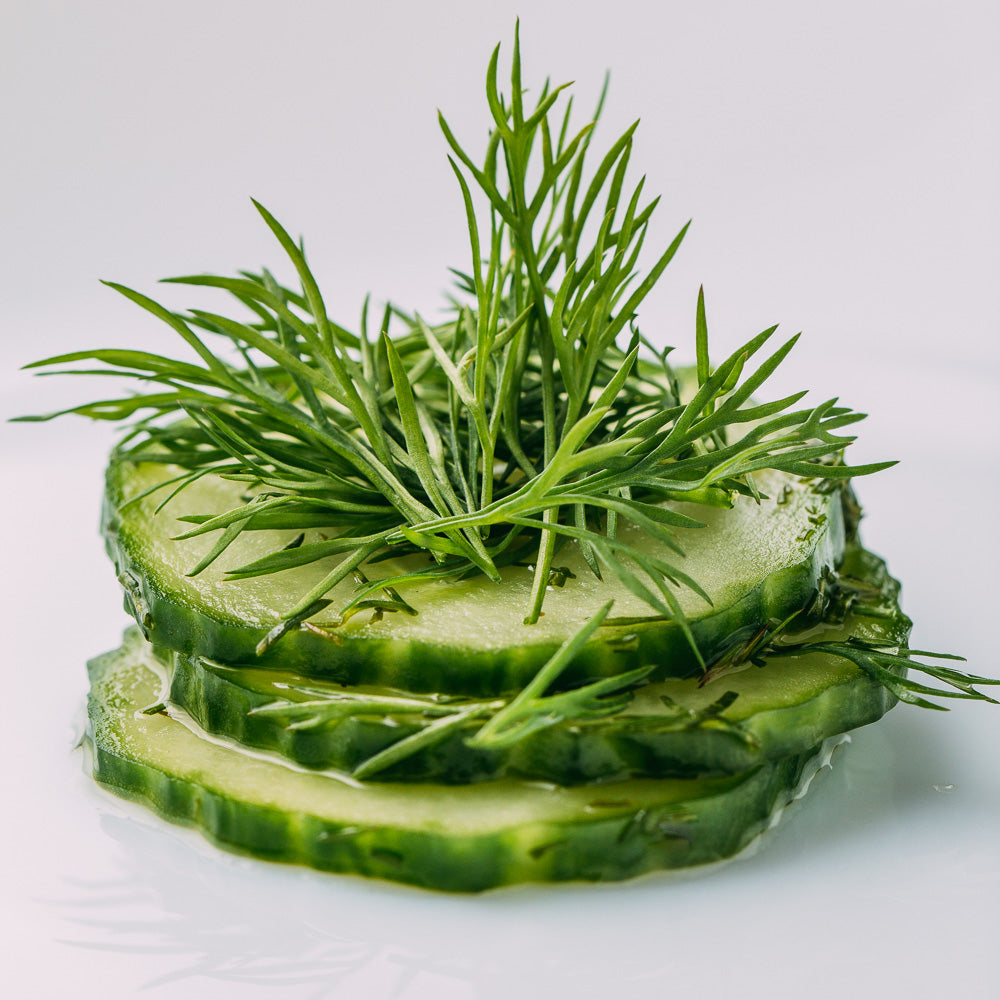 Garlic Dill Cucumber Pickles