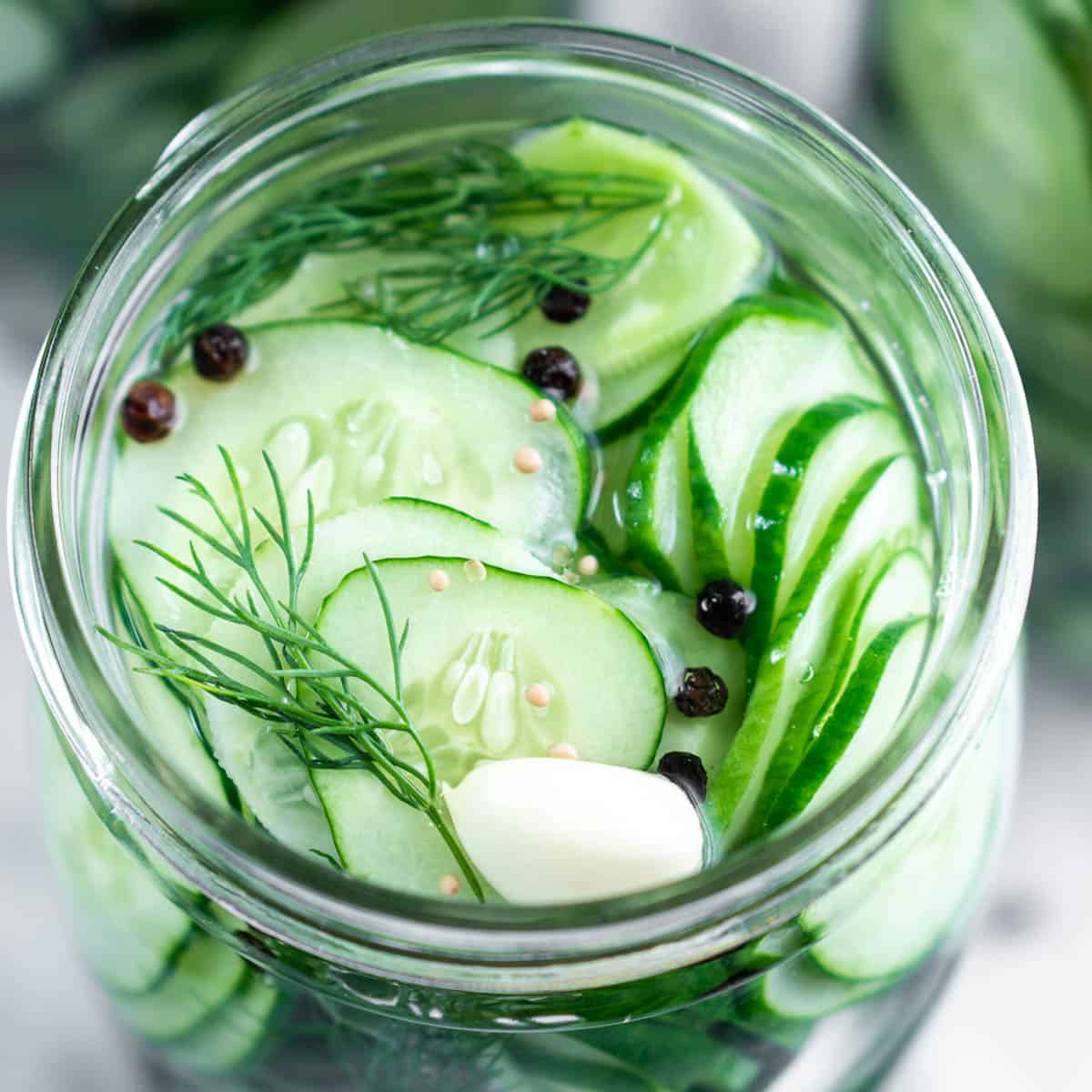 Garlic Dill Cucumber Pickles